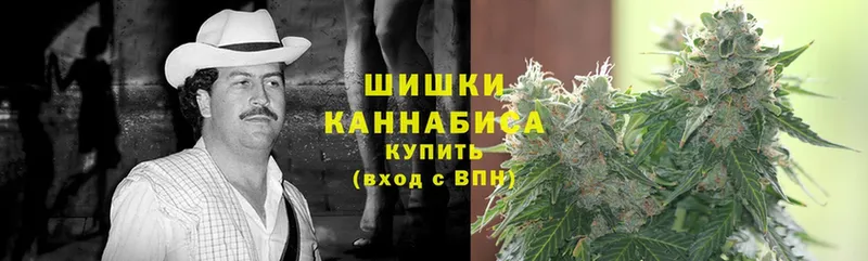 Конопля SATIVA & INDICA  закладки  Камень-на-Оби 